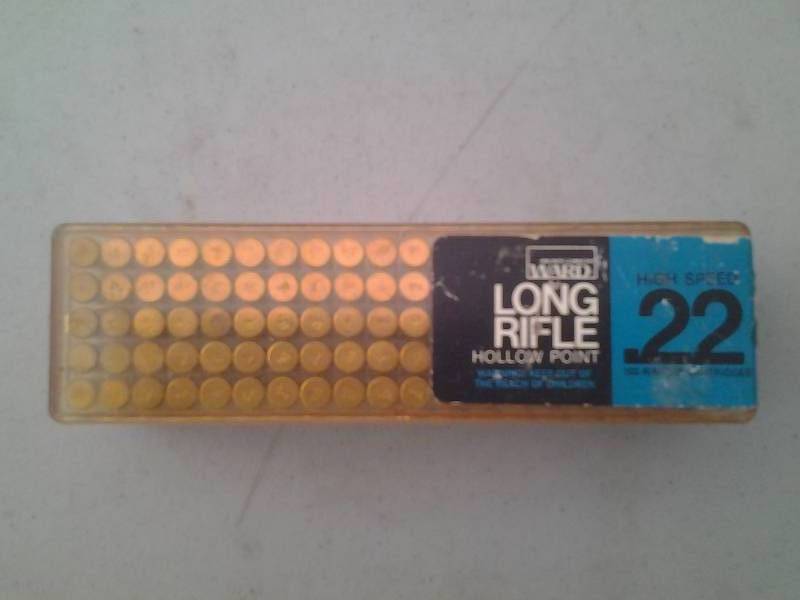 lot 48 image: 100 Count 22 L.R. (Hollow Point)
