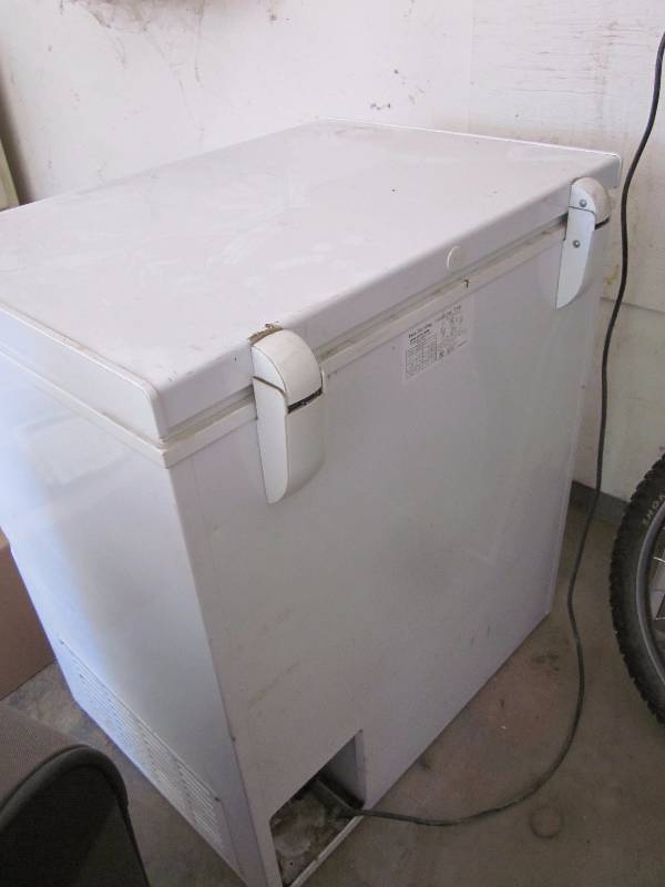 lot 51 image: GE Freezer