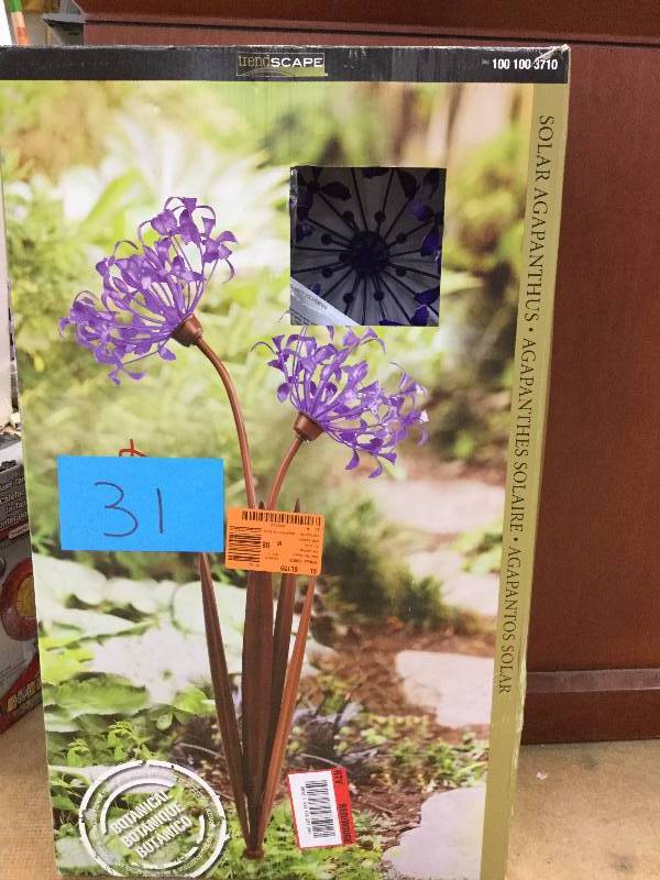 lot 31 image: Solar Agapanthus New