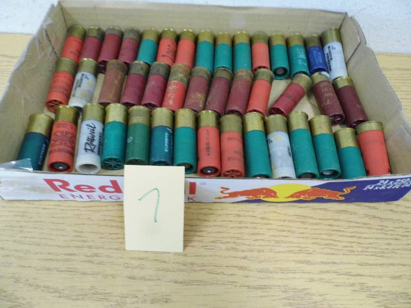 12 ga Shotgun Shells