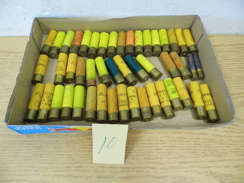4-10 Shotgun Shells