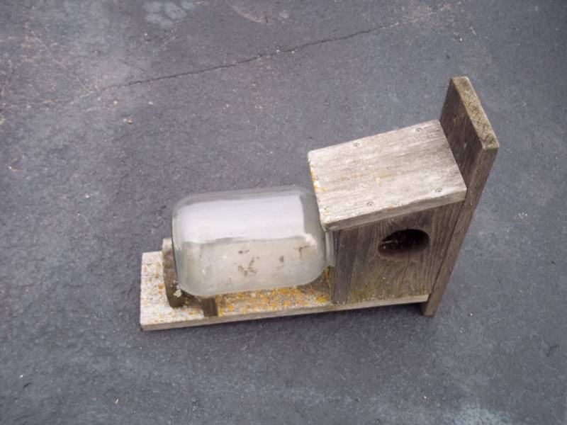 Squirrel Feeder