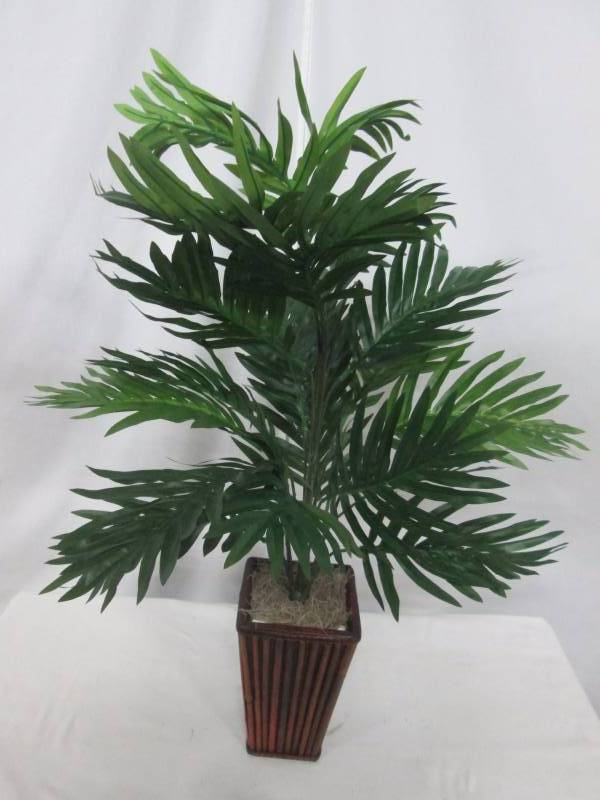 lot 45 image: Areca Palm with Bamboo Vase