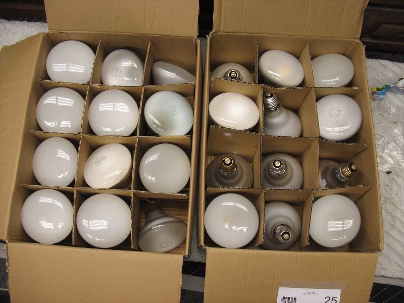 65W LIGHT BULBS