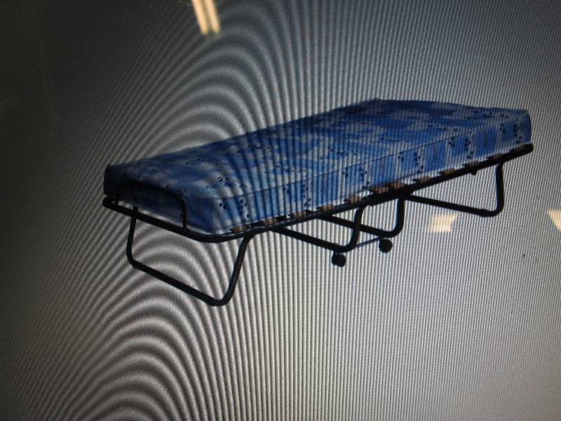 lot 23 image: Linon Roma Folding Bed open box Ret...