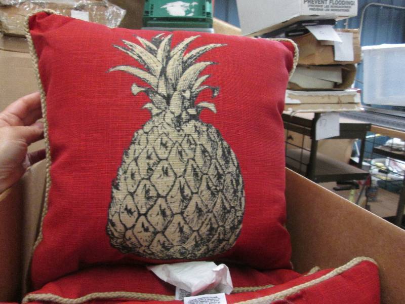 lot 41 image: Lot of 4 Pineapple Pillows open box...