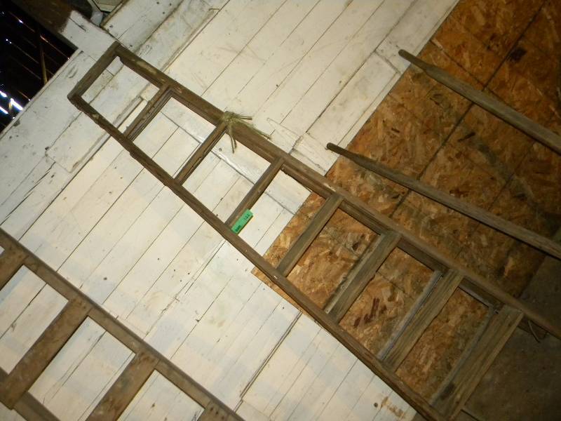 Vintage Step Ladder