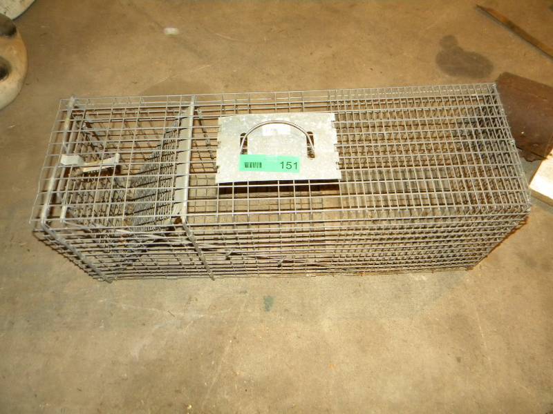 Live Trap