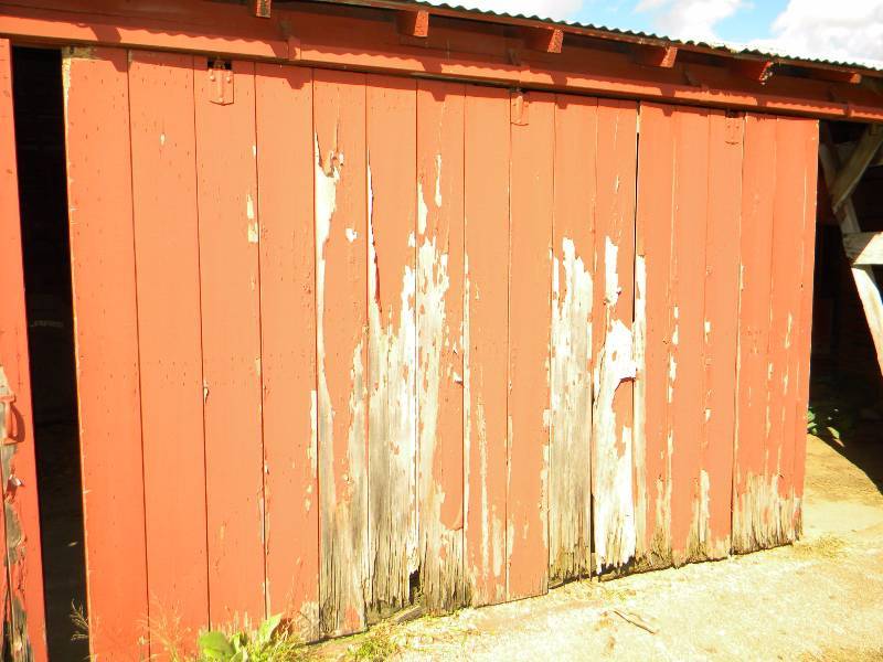 Barnwood Doors