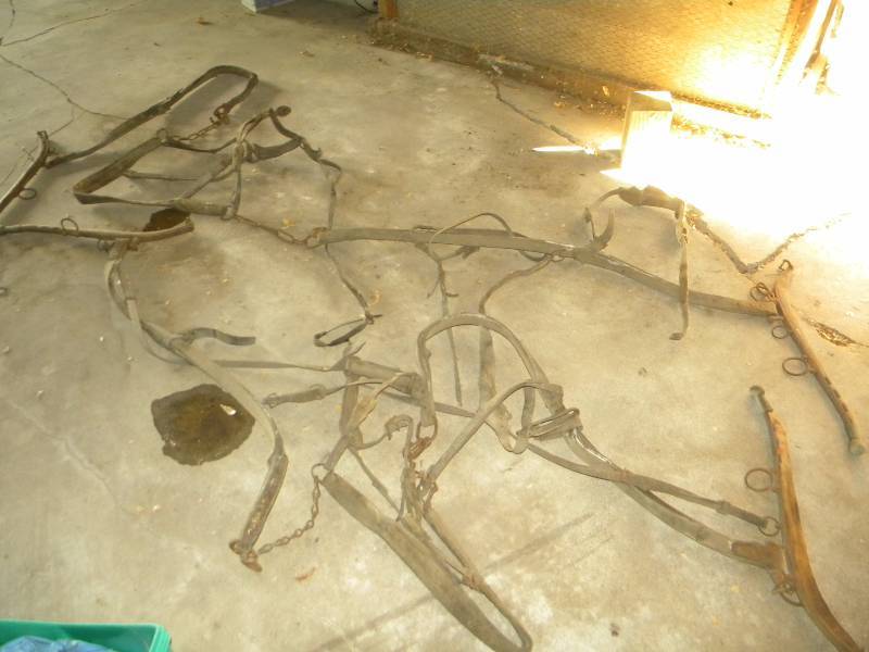 Vintage Ox Harness