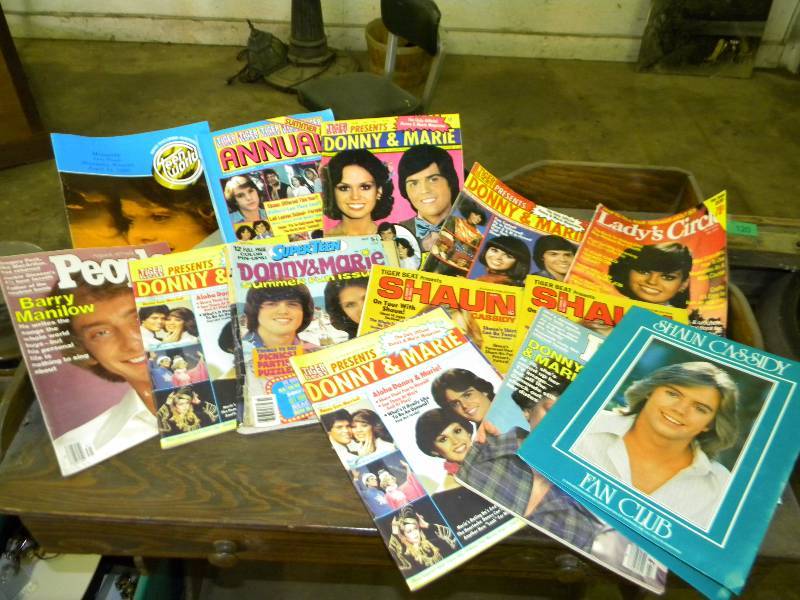 Vintage Donny and Marie Lot