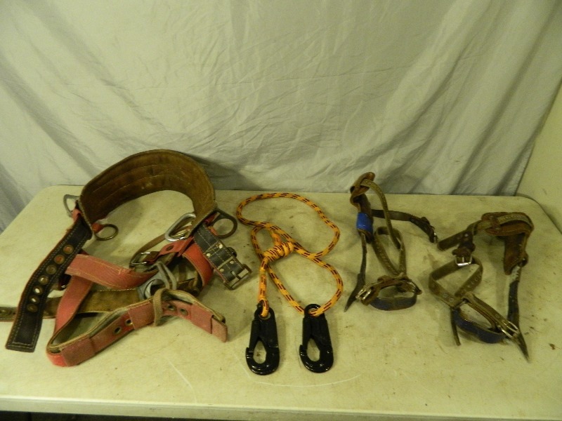 lot 36 image: Weaver Professional Tree Trimmers Harness and Gaffs
