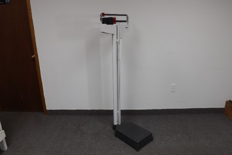 lot 31 image: NEW Seca Column Scale with Height Rod