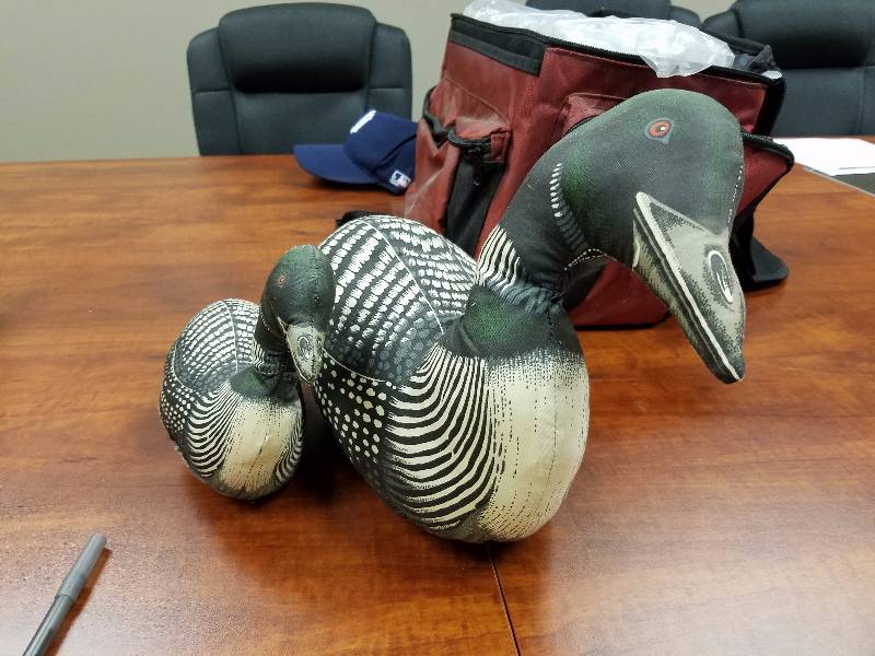 Stuff Loons