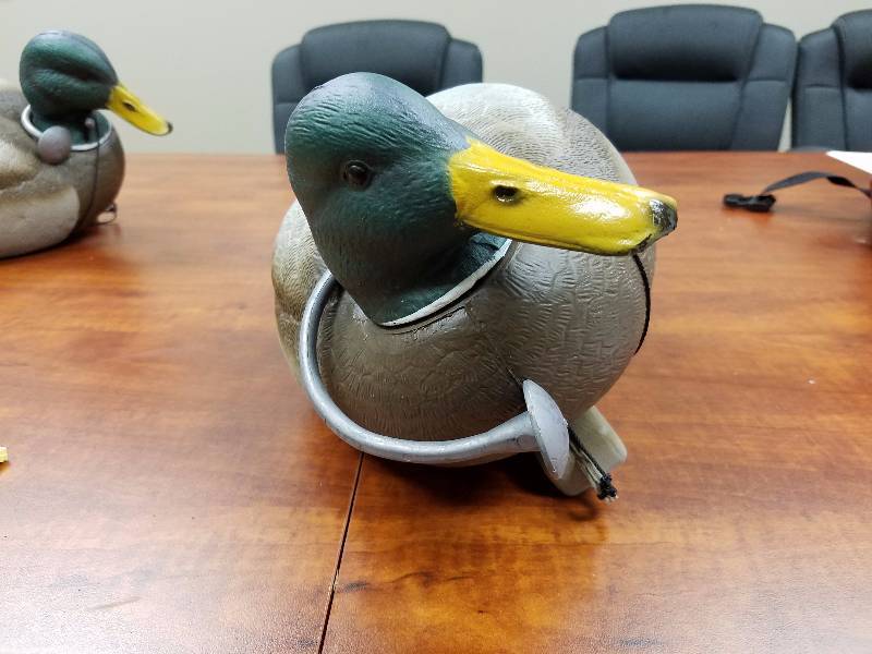 Duck Lifesize Mallard Decoys
