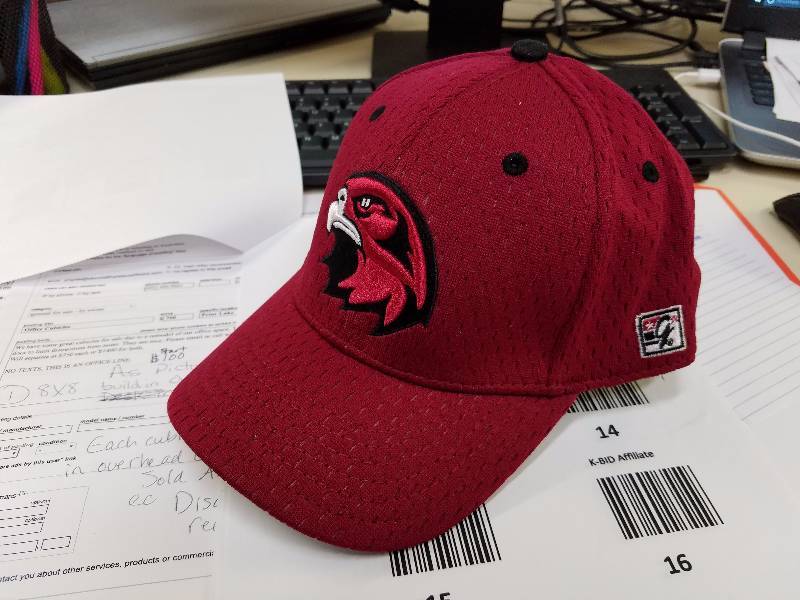lot 16 image: Brand new Sea Hawks Hat