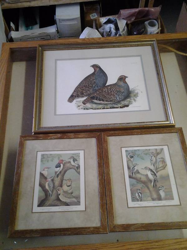 Pair Of Custom Framed Breckenridge Bird Prints, Other Framed Partridges Print