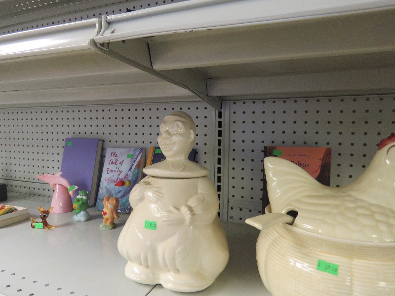 Extremely large Household lot