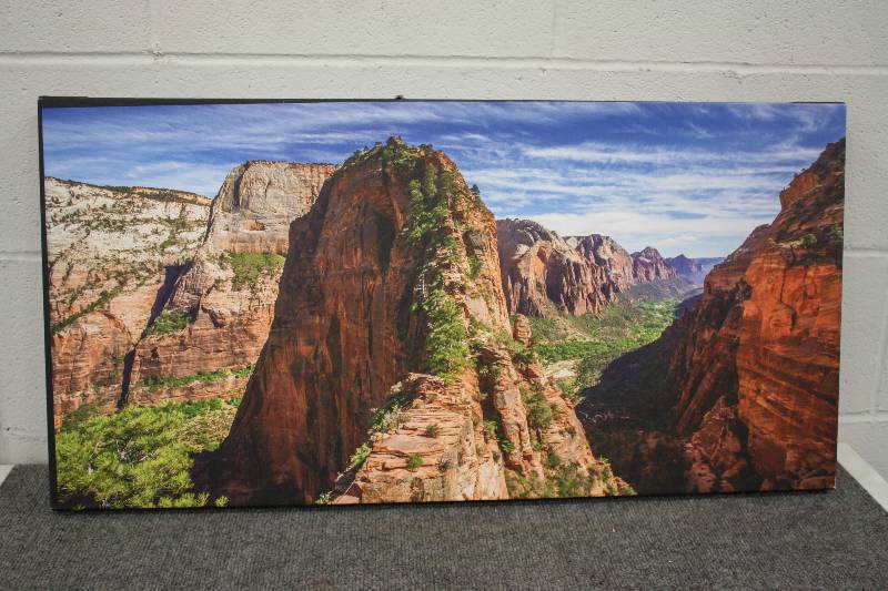 lot 28 image: Canvas Art