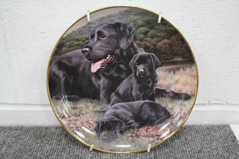 lot 42 image: Fine China Plate- Fathers Pride and Joy