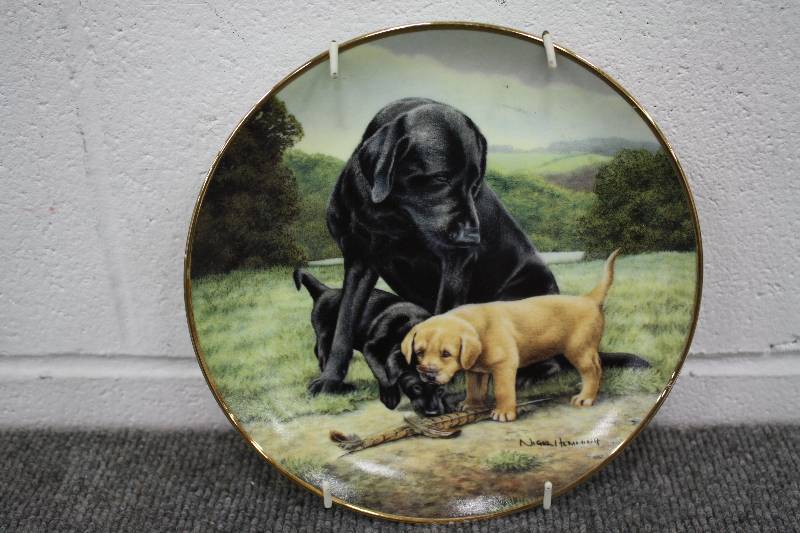 lot 44 image: Fine China Plate- Spring Training