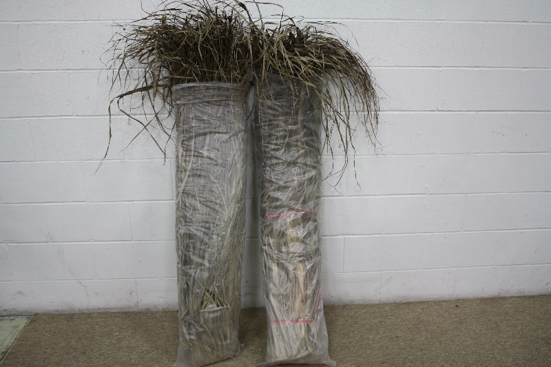 lot 12 image: 2 Duck Blinds