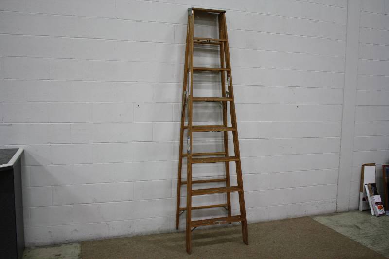 lot 18A image: Werner 8ft Ladder