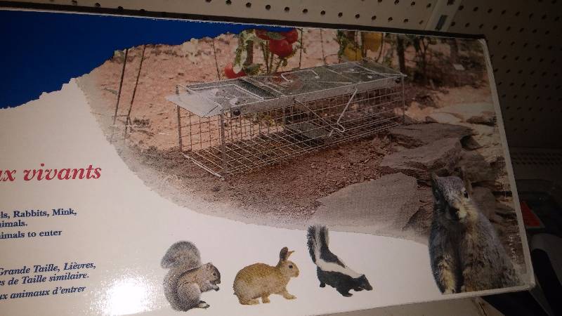 Live Animal Trap - Large Squirrels