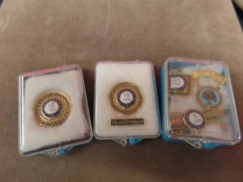 Employment Pins- Gold and Gold Filled