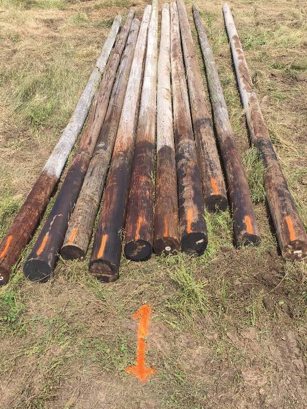 Telephone Poles