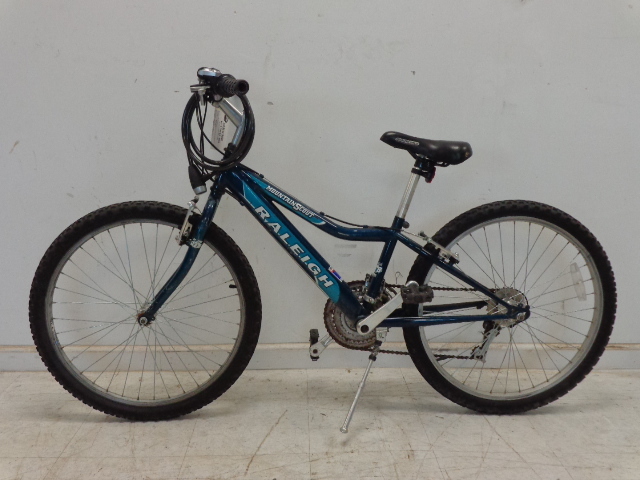lot 43 image: Mountain Bike