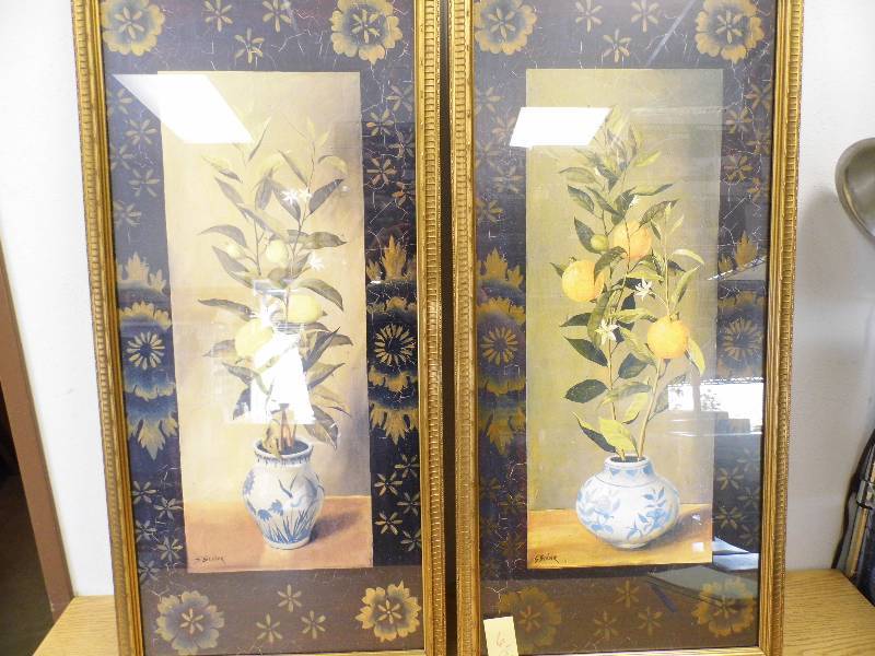 Orange Tree & Lemon Tree Pictures