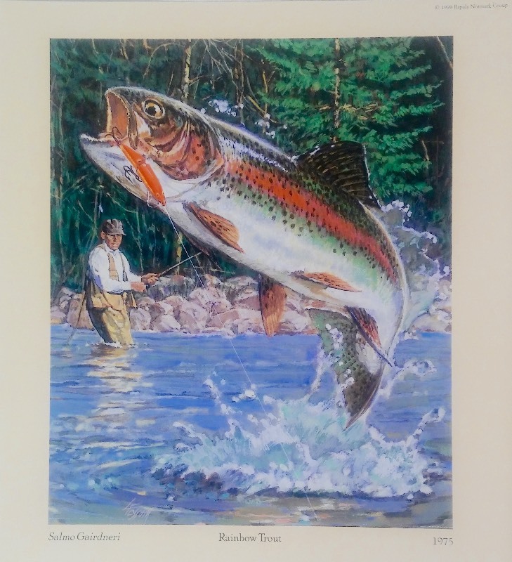 1 Set of 8 Rapala Collectible Lithograph Freshwater Prints (full print 10.5 x 12.5)