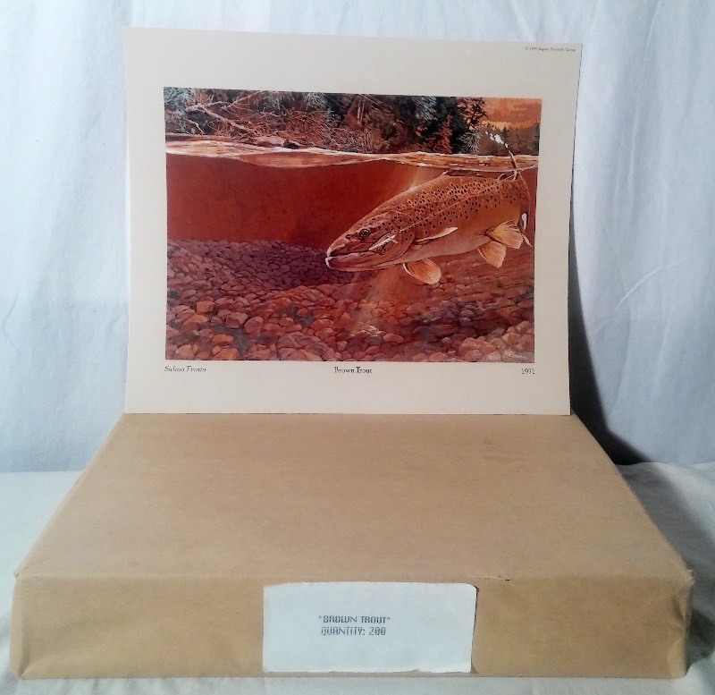 Brown Trout Lithograph Prints - sold as an Individual lot of quantity 175 prints (print size 12.5 x 10.5)