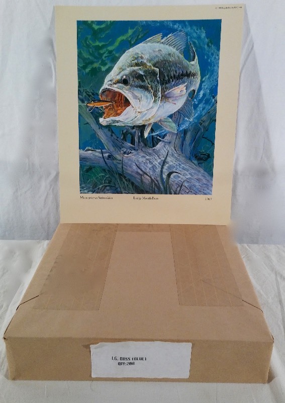 Large Mouth Bass (northern version) Lithograph Prints - sold as an Individual lot of quantity 190 prints (print size 10.5 x 12.5)