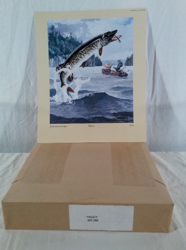 Musky Lithograph Prints - sold as an Individual lot of quantity 100 prints (print size 10.5 x 12.5)