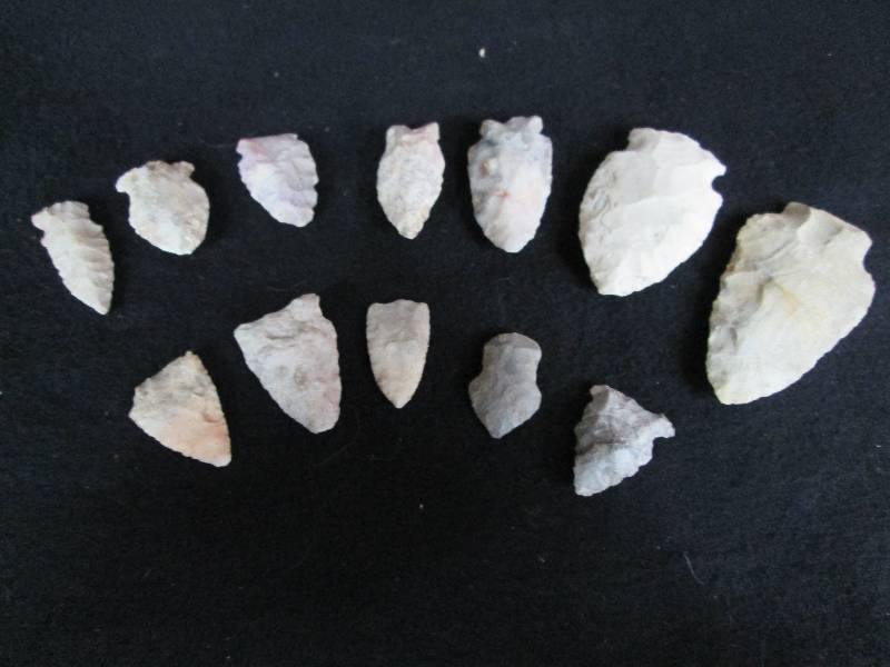 lot 181 image: 12 Stone ArrowSpear Heads