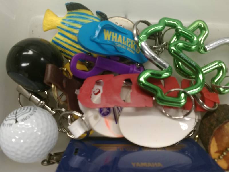 lot 12 image: Key Chain Lot