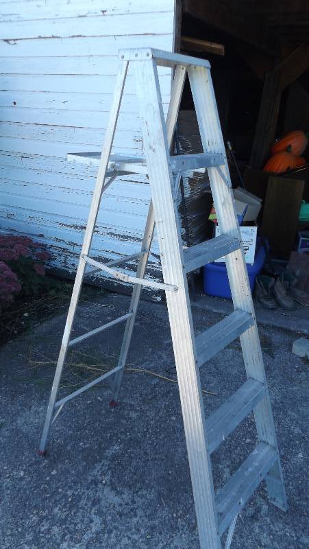 lot 325 image: Aluminum step ladder...