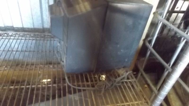 lot 436 image: Freezer shelf...