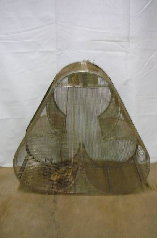 Minnow Trap