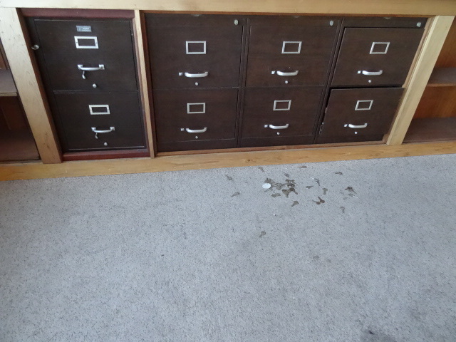 lot 174 image: File Cabinets