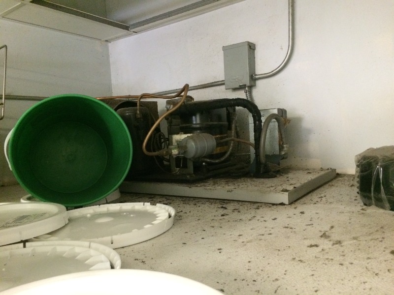 lot 24 image: Leer  Walk-in Freezer   6ft x 6ft x 6ft  compressor is on top.   Freezer Works Fine
