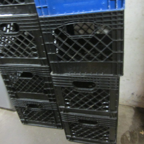 lot 104 image: Plastic Milk Crates