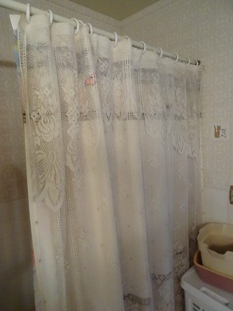 Shower Curtains