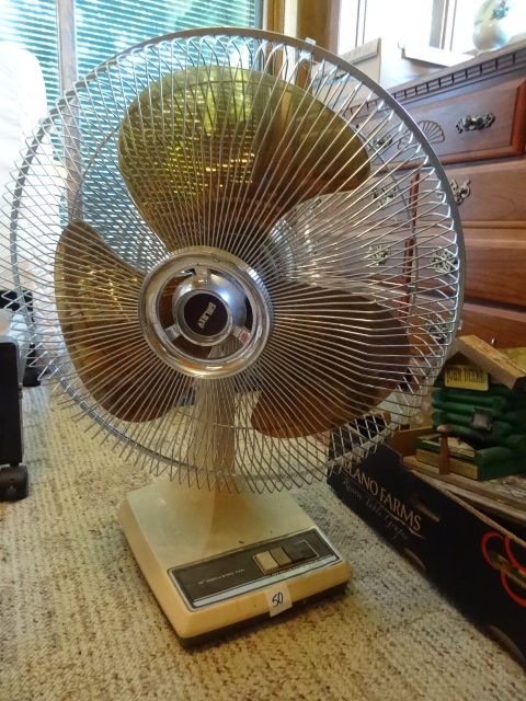 Oscillating Fan