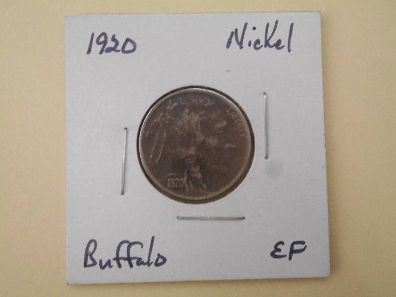1920 P - Buffalo Head Nickel - EF G...