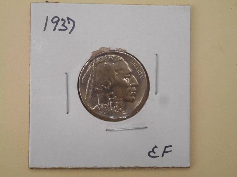 1937 P - Buffalo Head Nickel - EF G...