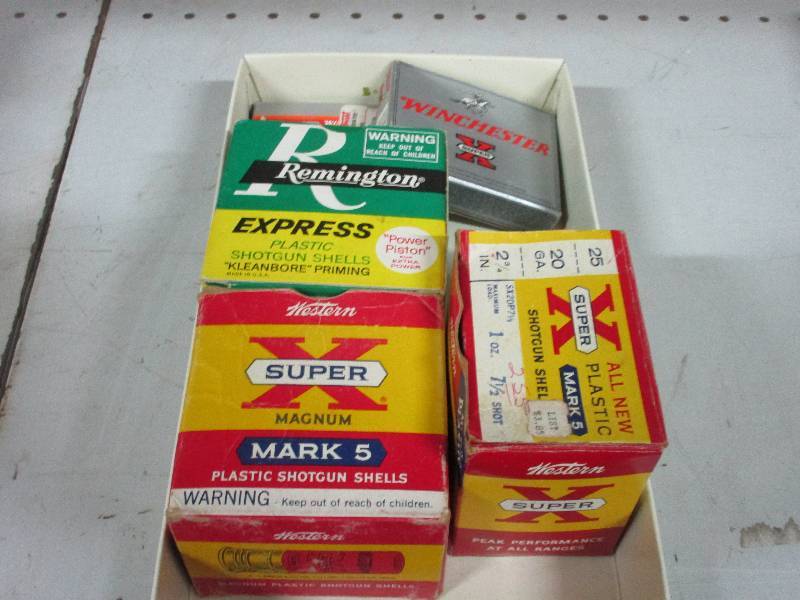 20 gauge shells