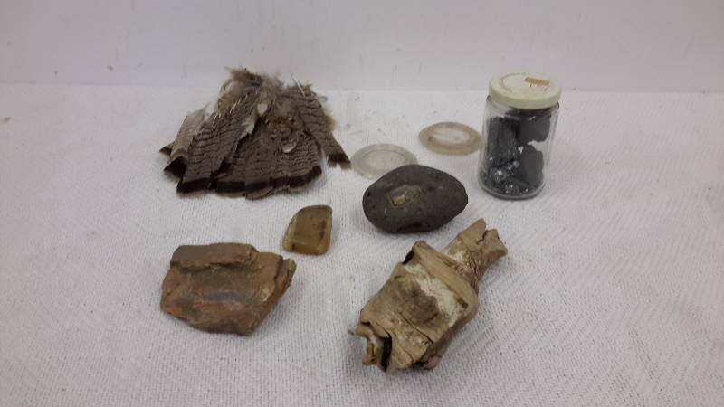 Petrified wood, rocks and minerals